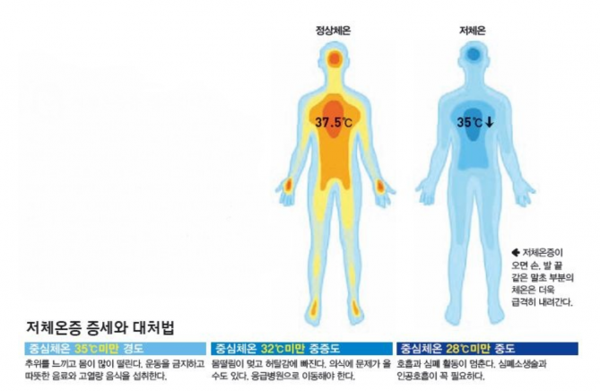 동아사이언스 제공